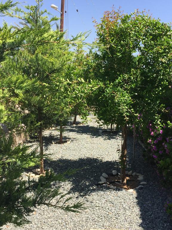 Agios Theodoros Casa Vacanze Baciata מראה חיצוני תמונה